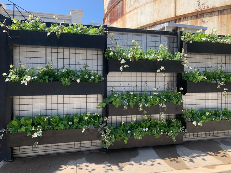 an outdoor planter with many plants growing on the side of it's wall