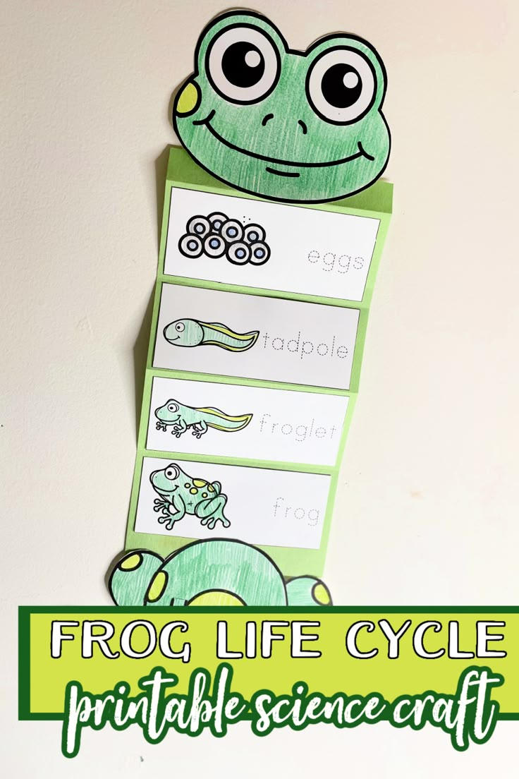 frog life cycle printable science craft for kids