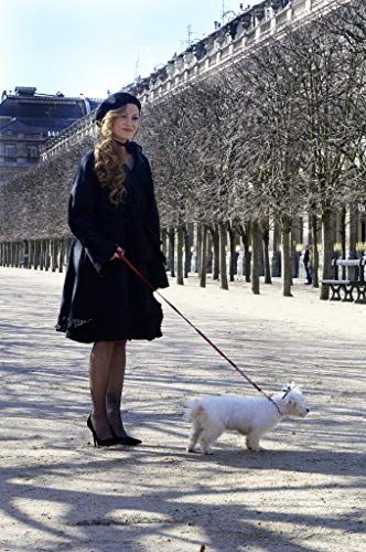 a woman is walking her dog in the park