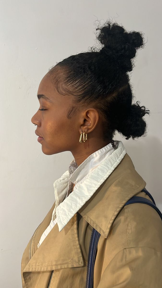 Low Poofy Ponytail Natural Hair, Coil Bun Hairstyles, Funky Natural Hairstyles, Space Buns Outfit Fall, Issa Dee Hairstyles, Natural Hair High Ponytail, 4c Space Buns, Fun Natural Hairstyles, Natural 4c Hairstyles Short