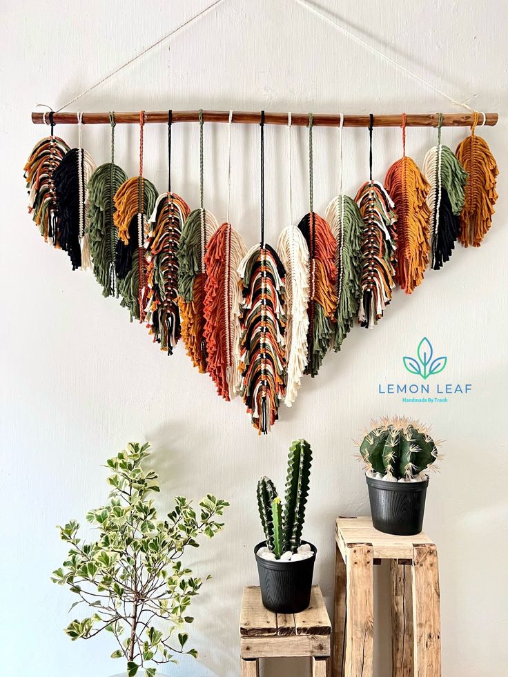 an assortment of feathers hanging on a wall next to two potted cacti