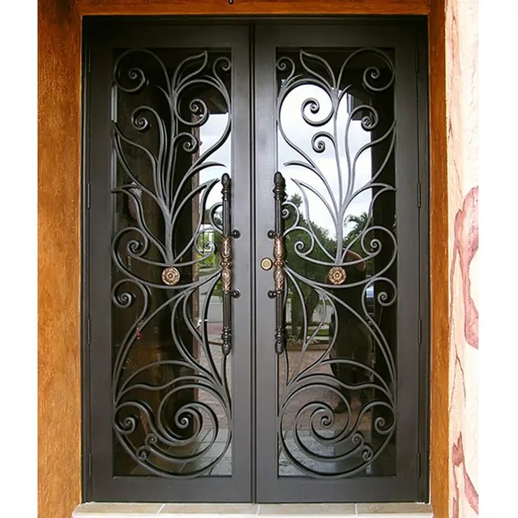 a pair of black doors with intricate iron work on the front and side glass panels