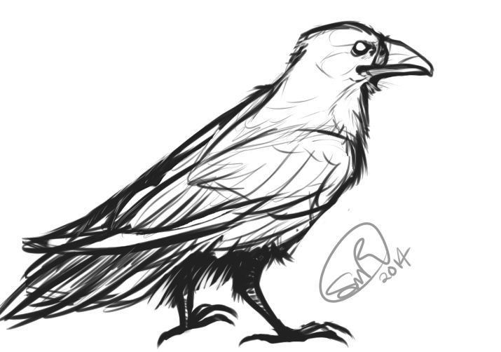 a black and white drawing of a bird