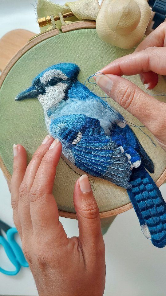 a blue bird sitting on top of a piece of fabric