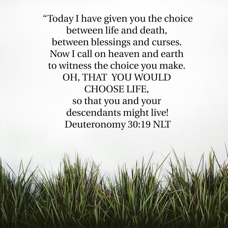 grass with the words, my thought is nothing like your thoughts says the lord and my ways are far beyond anything you could imagine