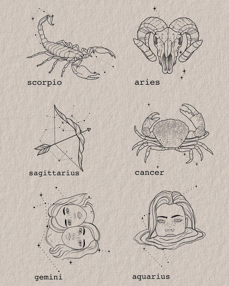 zodiac signs drawn on paper with ink