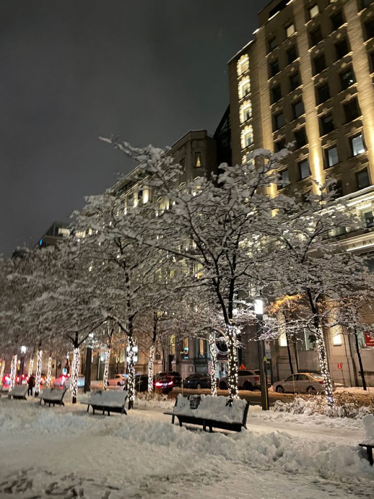 snow covered park benches in front of tall buildings at night with street lights on the trees