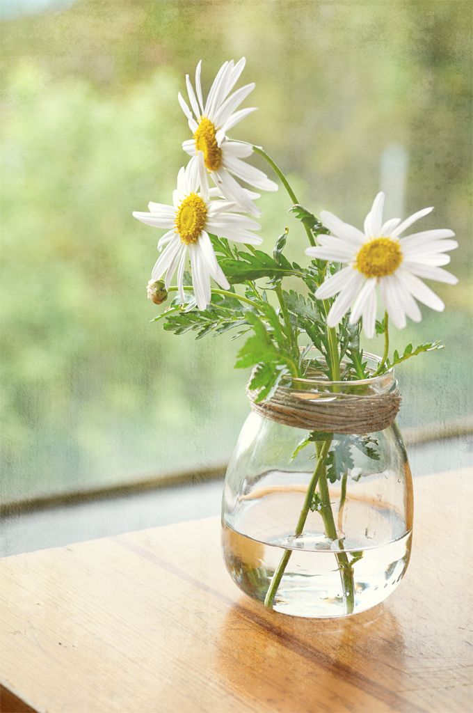 some daisies are in a glass vase on a table