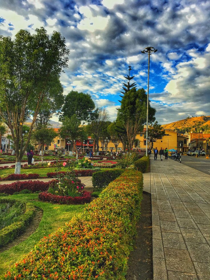 a park with lots of colorful flowers and trees