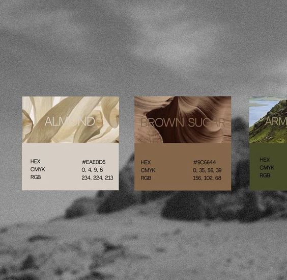 three different color palettes for the same product on an overcast day with mountains in the background