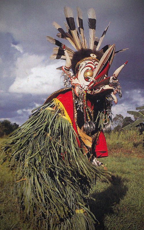 a man in an elaborate headdress with feathers and arrows on his face is walking through the grass