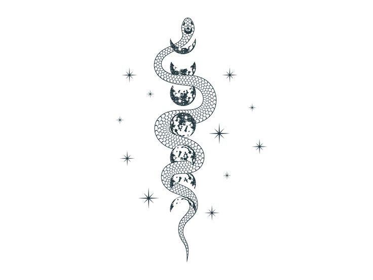 an image of a snake with three heads on it's back and stars in the background