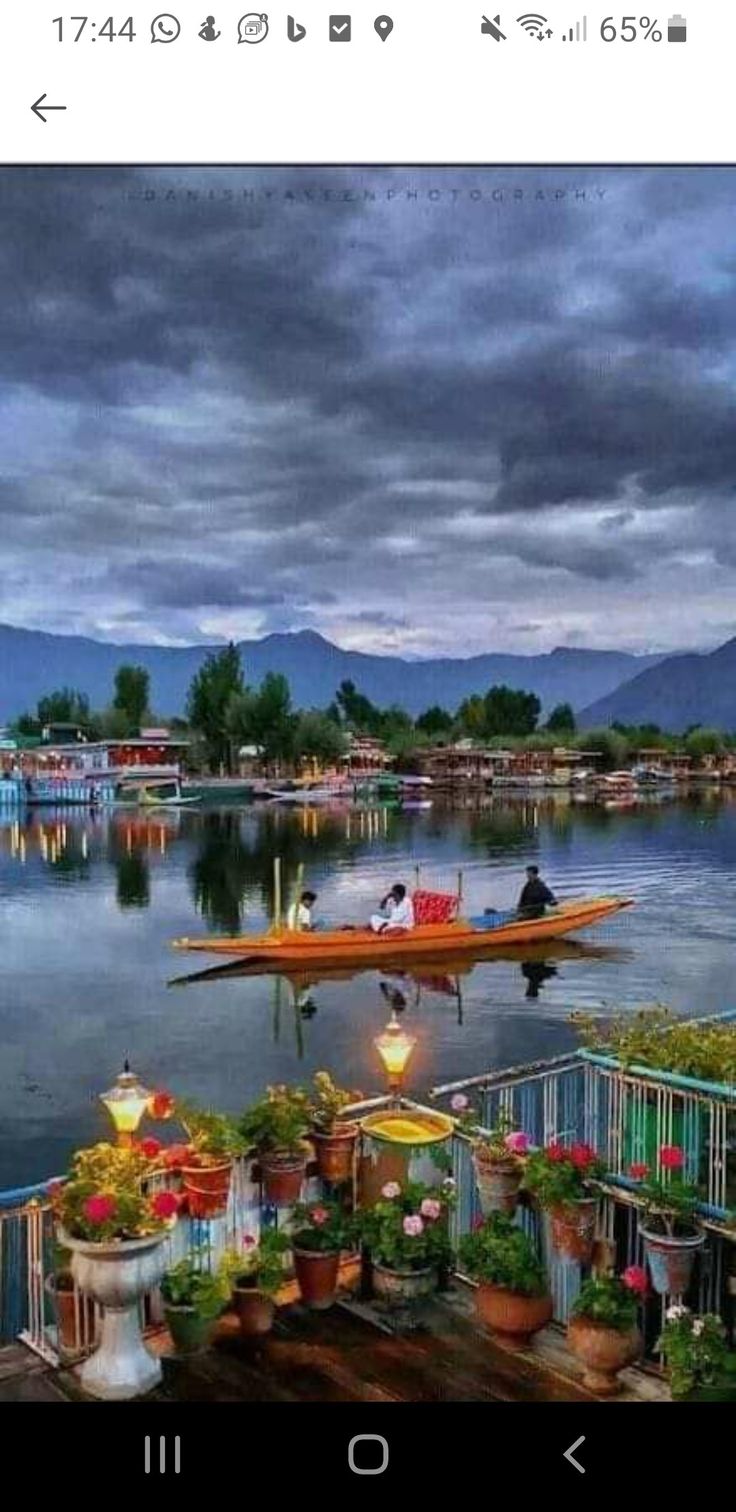 a boat floating on top of a lake next to a wooden dock filled with potted plants