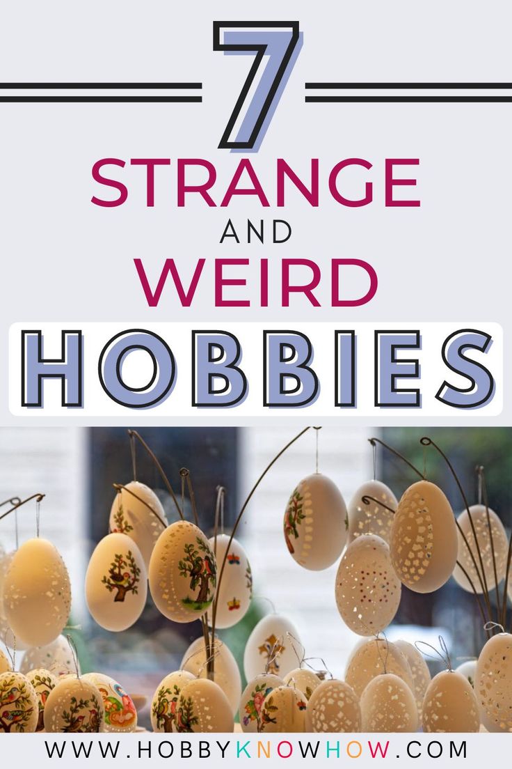 strange and weird hobbies with text overlay that reads 7 strange and weird hobbles