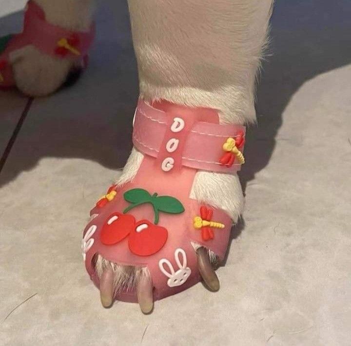 a dog's foot wearing pink and white shoes with fruit decorations on the toes