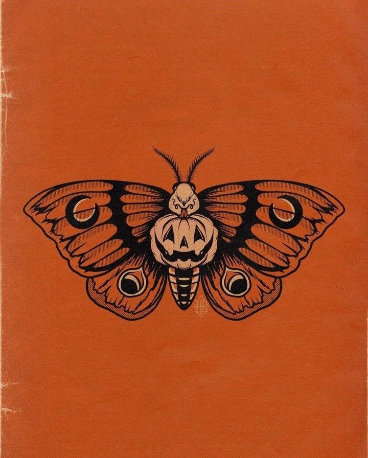 an orange book with a black butterfly on it's cover and the words halloween written in