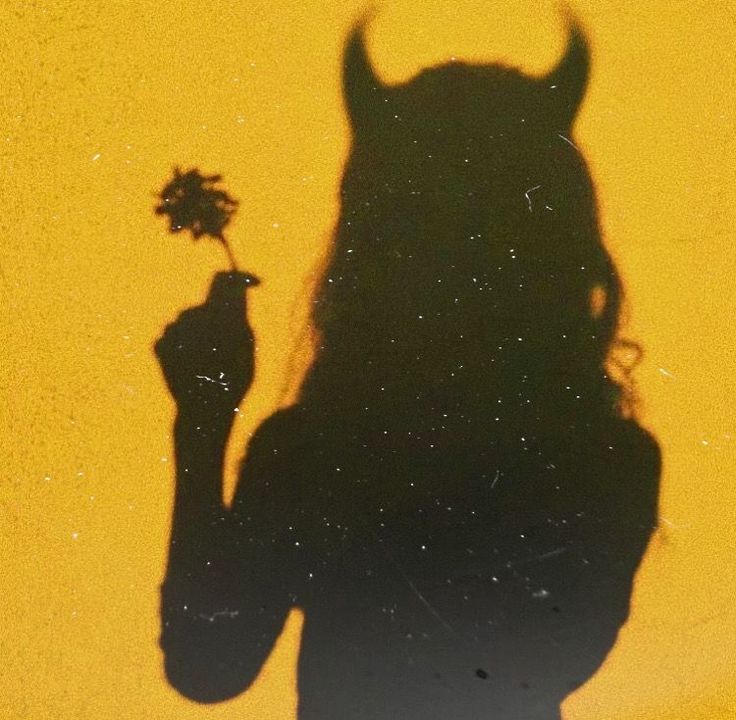 a shadow of a person holding a flower in their hand and the shadow of a devil's head