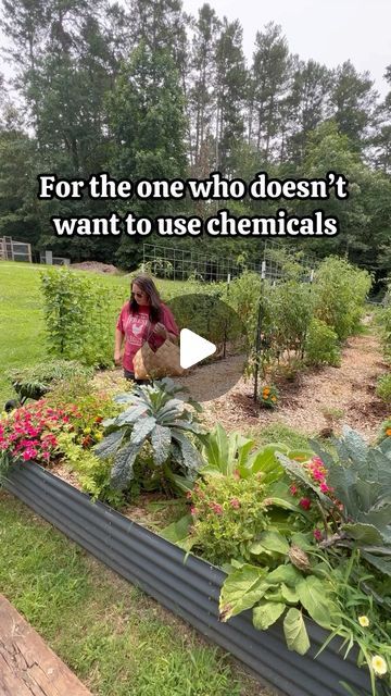 a woman kneeling down in front of a garden filled with flowers and plants, text reads for the one who doesn't want to use chemicals