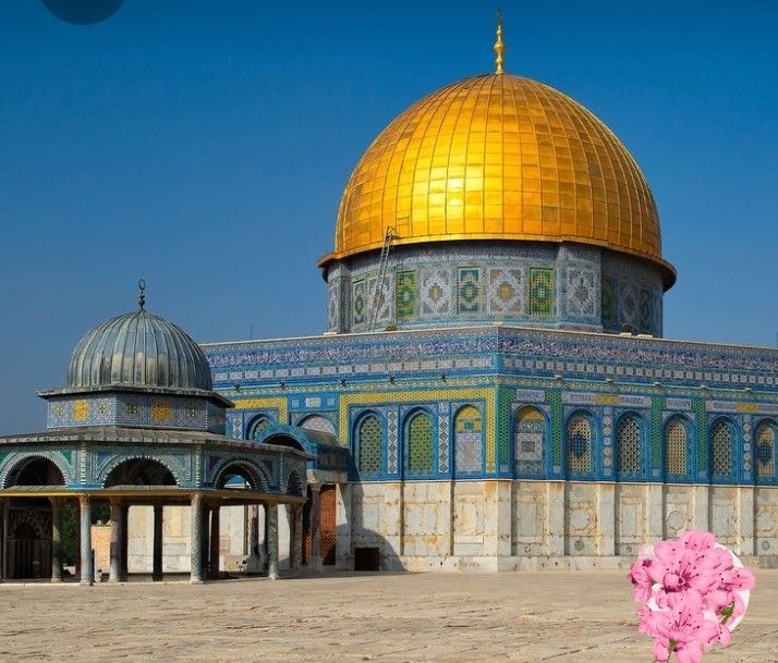 the dome of the rock is shown with pink flowers in front