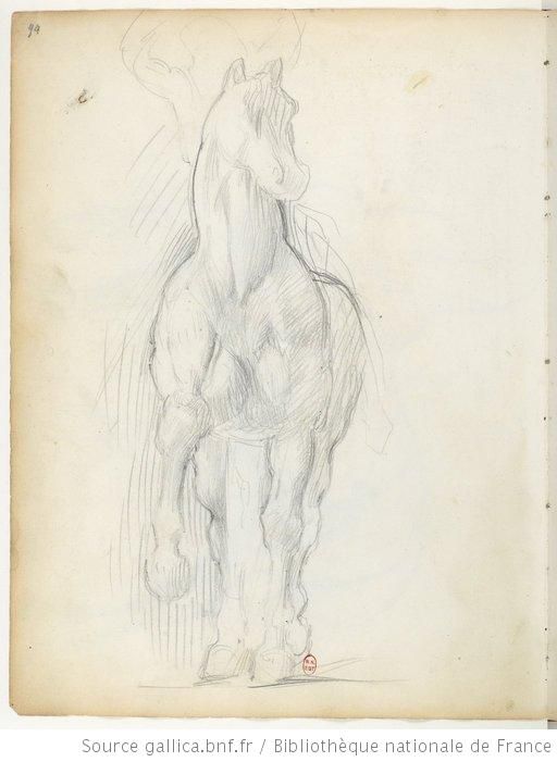 a pencil drawing of a horse standing upright