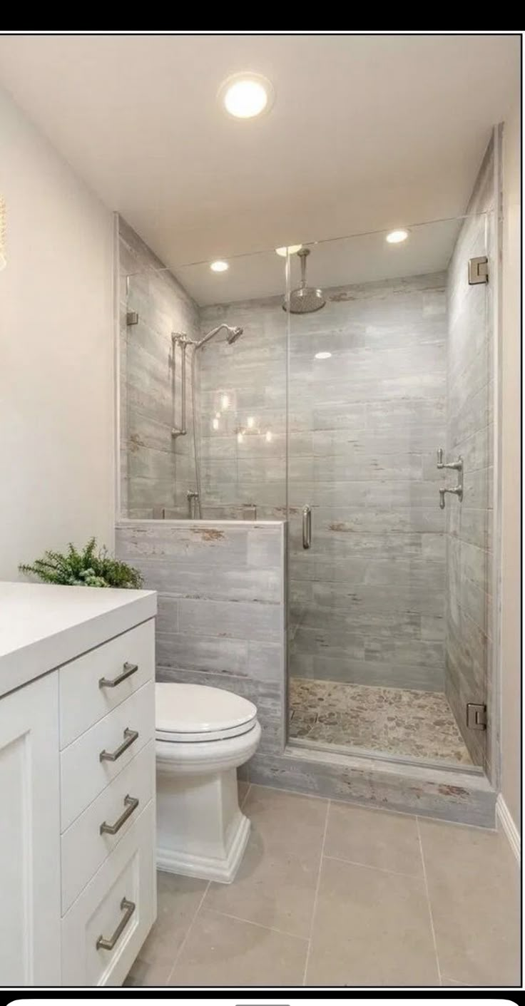 a bathroom with a walk in shower next to a white toilet and counter top sink