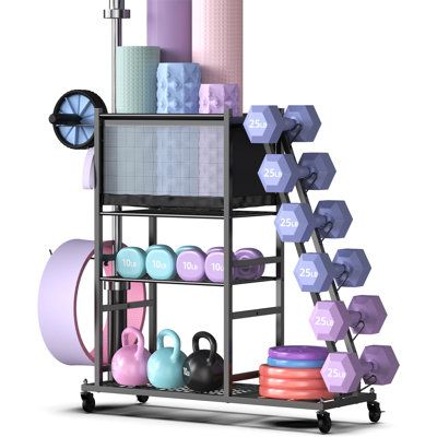 a rack with dumbs, exercise balls and yoga mats