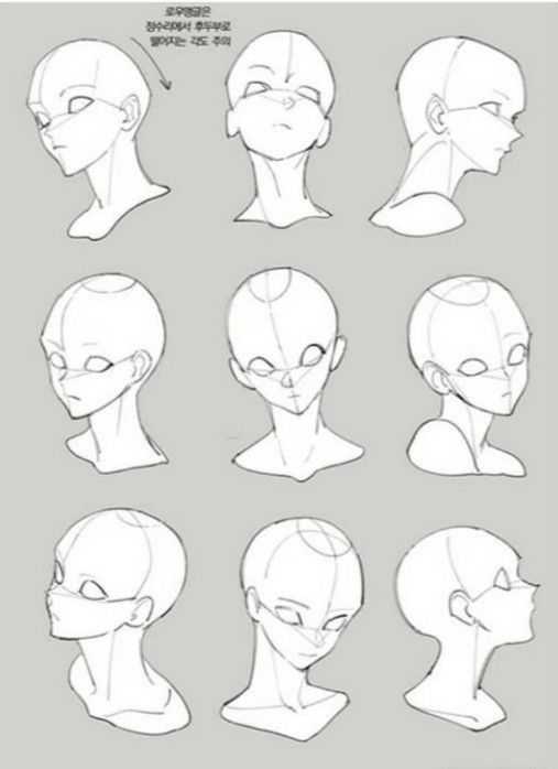 an animation character's head with various angles and facial features, including the head