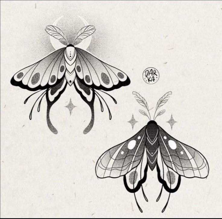 two drawings of moths on white paper one has wings and the other has an insect's head