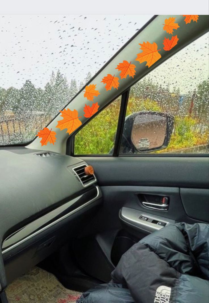 an image of the inside of a car with autumn leaves on it