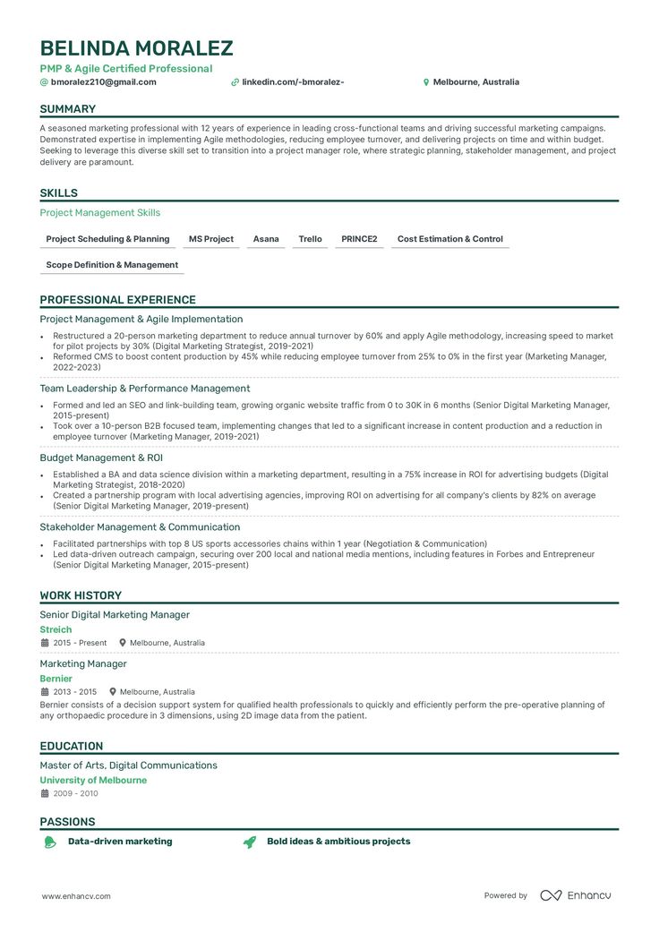 a professional resume with green accents