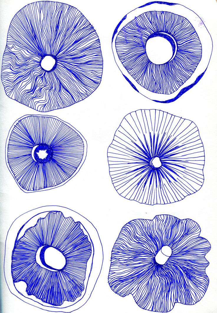 blue ink drawings of different types of mushrooms