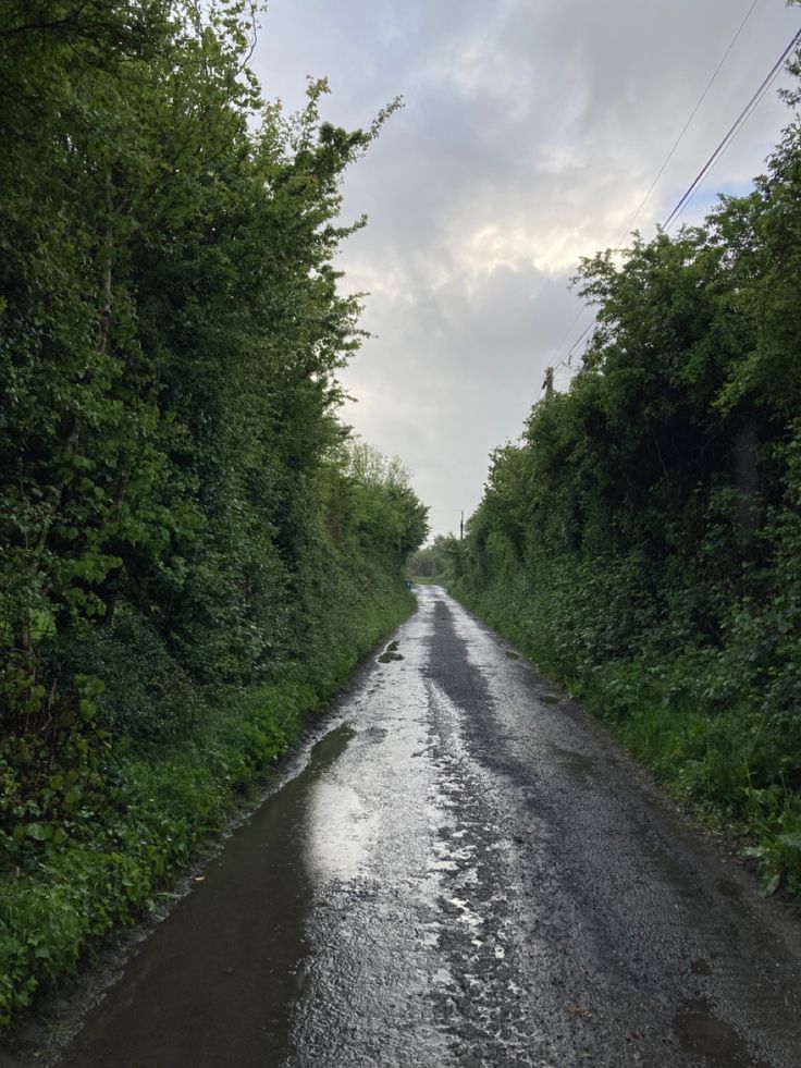 a wet road surrounded by green trees and bushes on both sides with water running down the middle