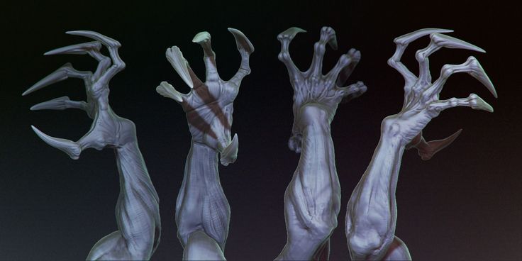 four different poses of hands and legs in the shape of an animal's body