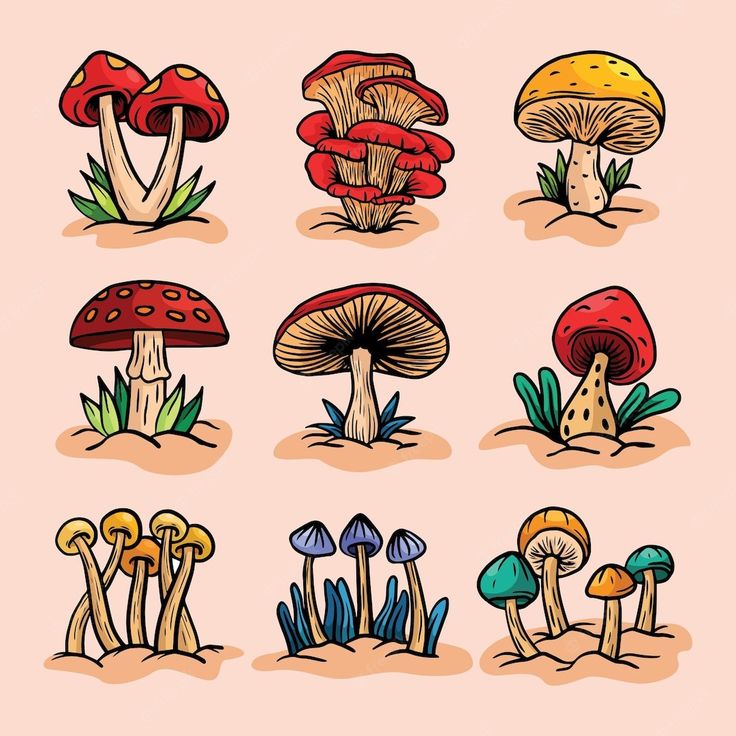 the different types of mushrooms are shown in this drawing style, and it's easy to draw