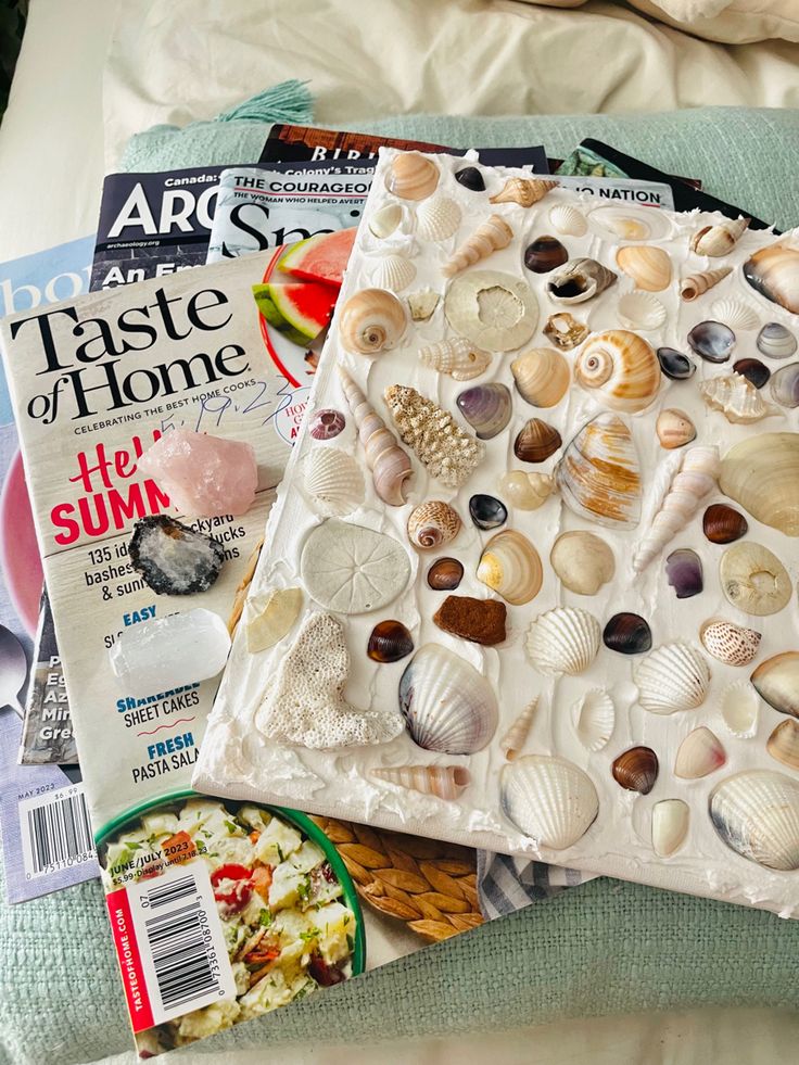 Summer is here. Time to lay out by the beach reading magazines, collecting shells and crystals! Sea Shells On Canvas, Seashell Art Spackle, Shell Spackle Art, Seashell Plaster Art, Canvas With Shells Wall Art, Seashells On Canvas, Seashell Art On Canvas, Seashell Art Canvas, Seashell Canvas Art Diy