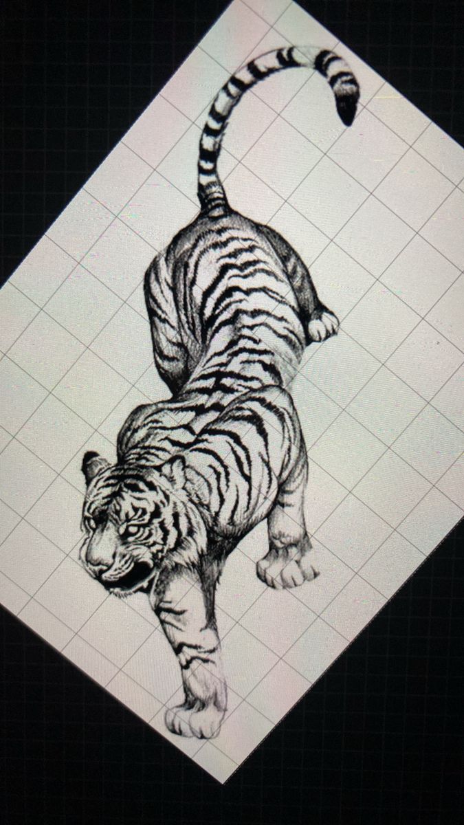 a black and white drawing of a tiger on a piece of paper with squares in the background