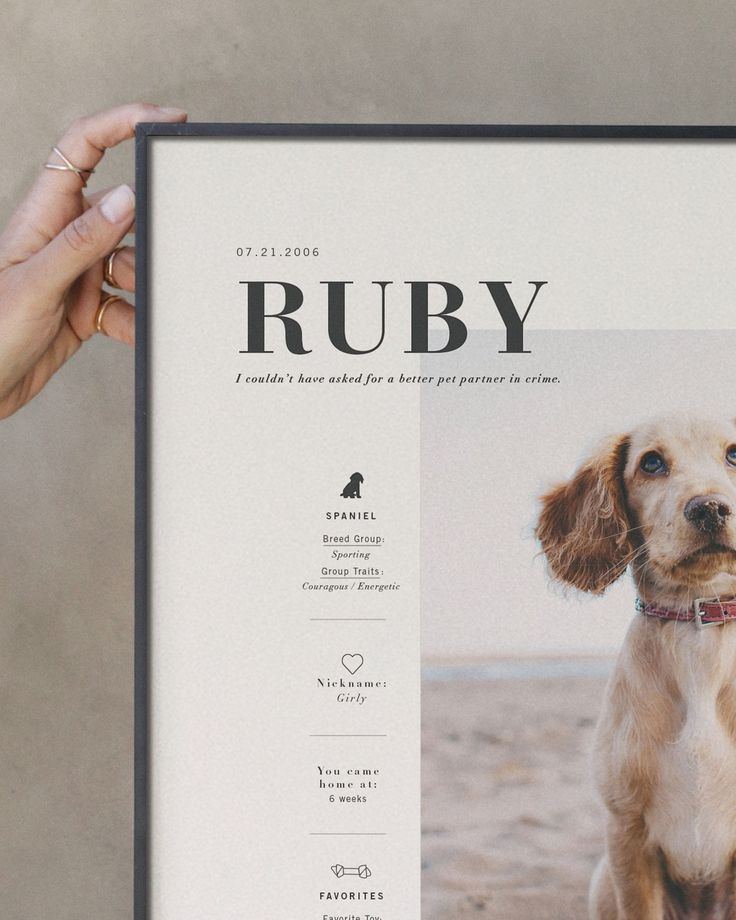 a person holding up a poster with a dog on it's back and the words ruby written in black