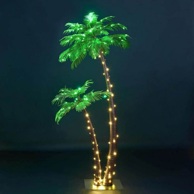 a lighted palm tree with lights on it