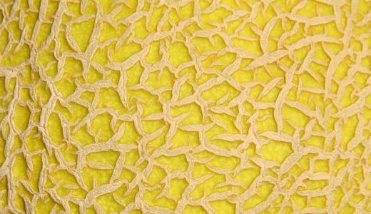 close up view of the texture of a yellow fabric with small holes and ridges on it