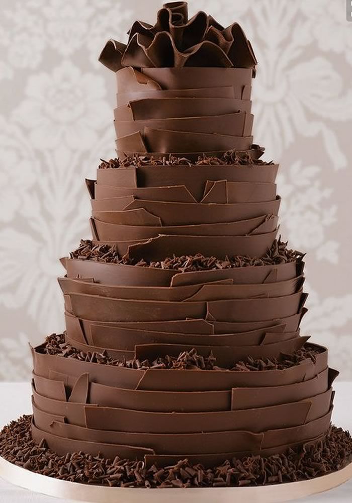 a large chocolate cake sitting on top of a white plate