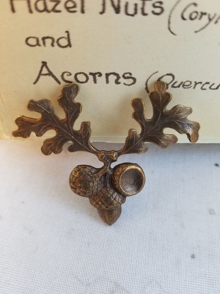 Just in time for fall acorn and oak leaf findings in two sizes.  Smaller (darker) 25mm-1 Inch, 4 per order or larger ( bright gold) 50mm-2 inch, 2 per order Both have nice vintage weight. A popular motif in art for different cultures.  The acorn is a symbol of a new beginning and is used as an ornament on furniture, finials at Westminster Abby and jewelry throughout history. Back to my shop http://www.etsy.com/shop/whoknowswhat Fall Acorns, Acorn And Oak, Merry Christmas To You, A New Beginning, Oak Leaf, Floral Wire, Different Cultures, Bright Gold, New Beginning