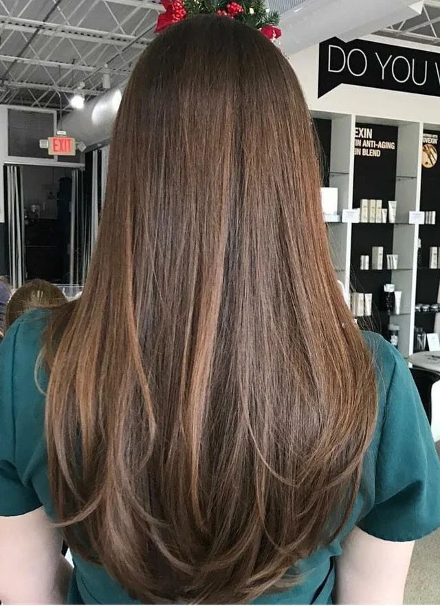 Haircuts Layers Straight Hair, Blended Long Layers Straight, Subtle Layers With Curtain Bangs, Noticeable Layers Hair, Long Layers Brunette Straight, Long Layer Hair Cuts For Women, No Layered Haircut, Thick Hair With Long Layers, Long Straight Hair Long Layers