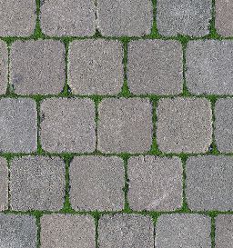 a brick sidewalk with grass growing on it