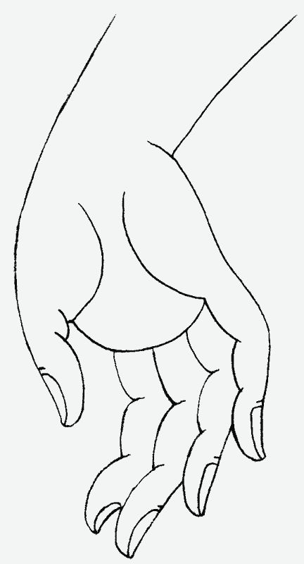 a drawing of a hand holding something in it's claws