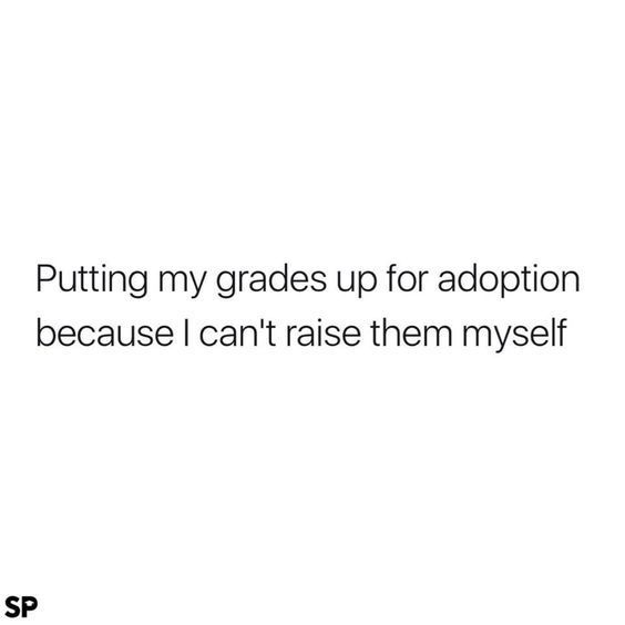 studentlifeproblems: “If you are a student Follow @studentlifeproblems​ ” Grad Quotes, Senior Quotes Funny, Funny Instagram Captions, Couple Quotes Funny, College Quotes, Yearbook Quotes, Senior Quotes, School Quotes, Funny Captions