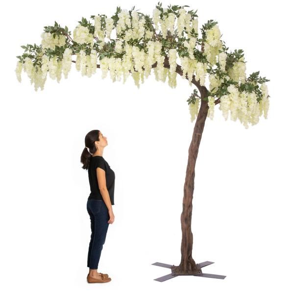 a woman standing next to a tall tree with white flowers on it's branches