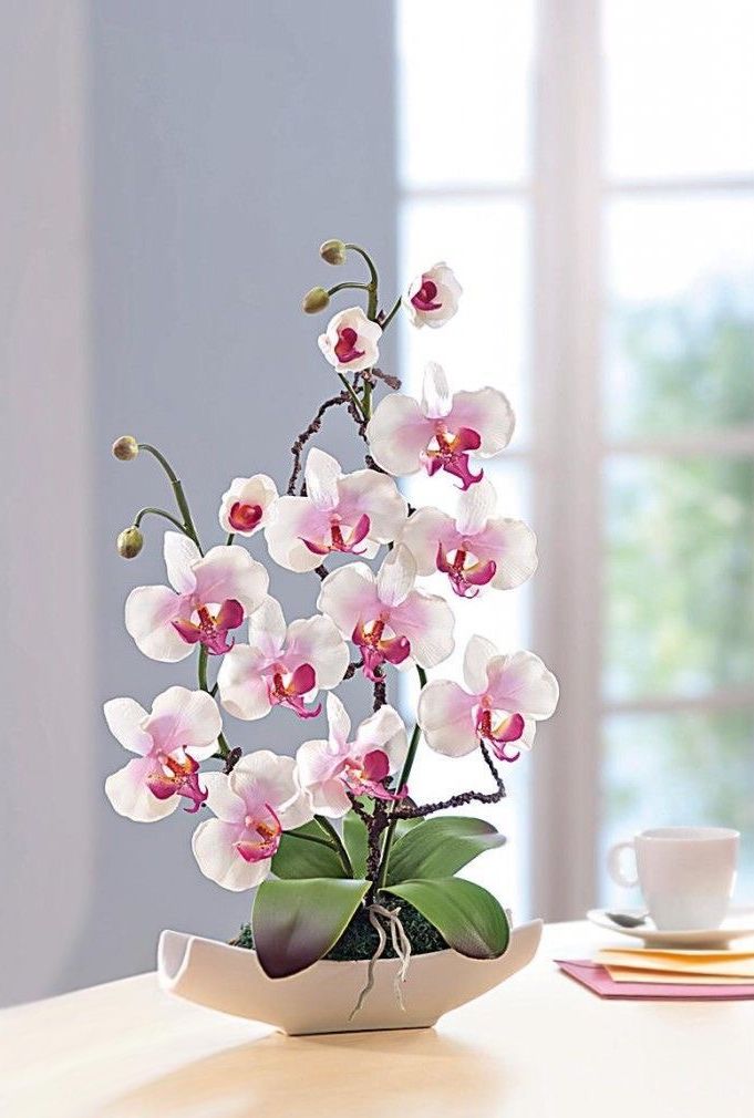 a white vase with pink and white orchids on a table next to a cup