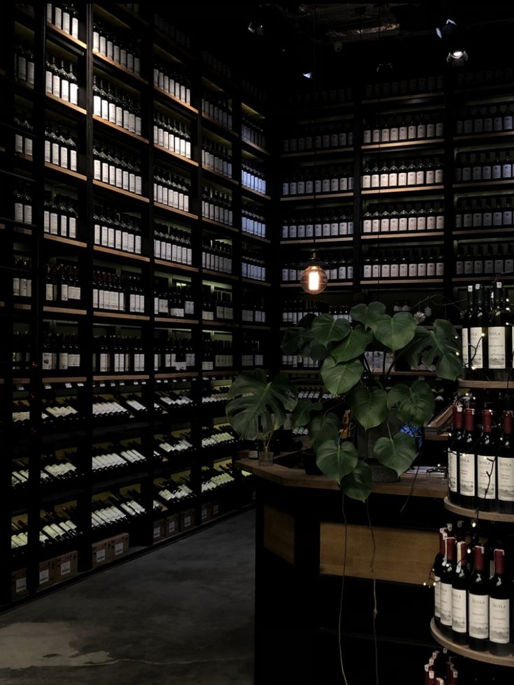 a room filled with lots of bottles of wine and a potted plant on top of a table