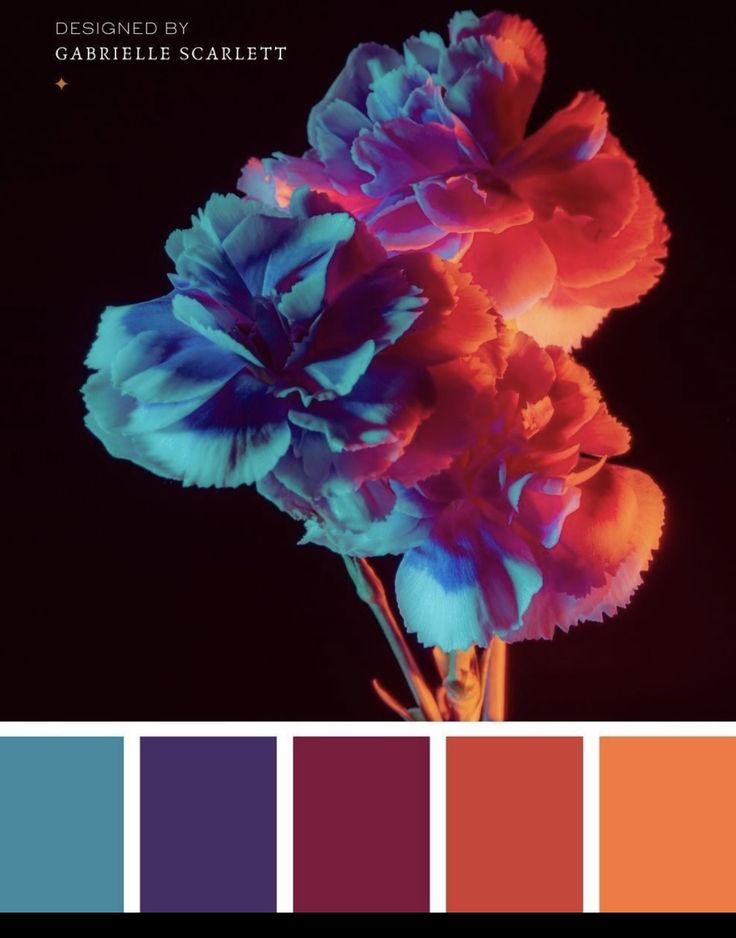 an image of a flower that is in the color red and blue with some other colors