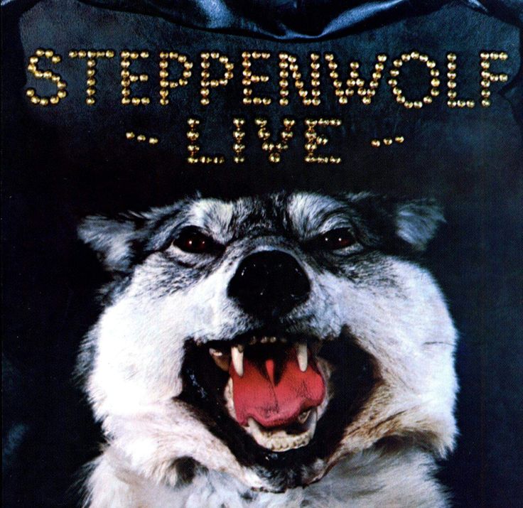 a dog with its mouth open and the words steppanwop live written on it